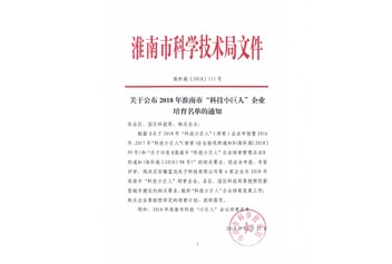 2018年淮南市“科技小巨人”企業(yè)培育名單的通知