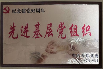 先進(jìn)基層黨組織